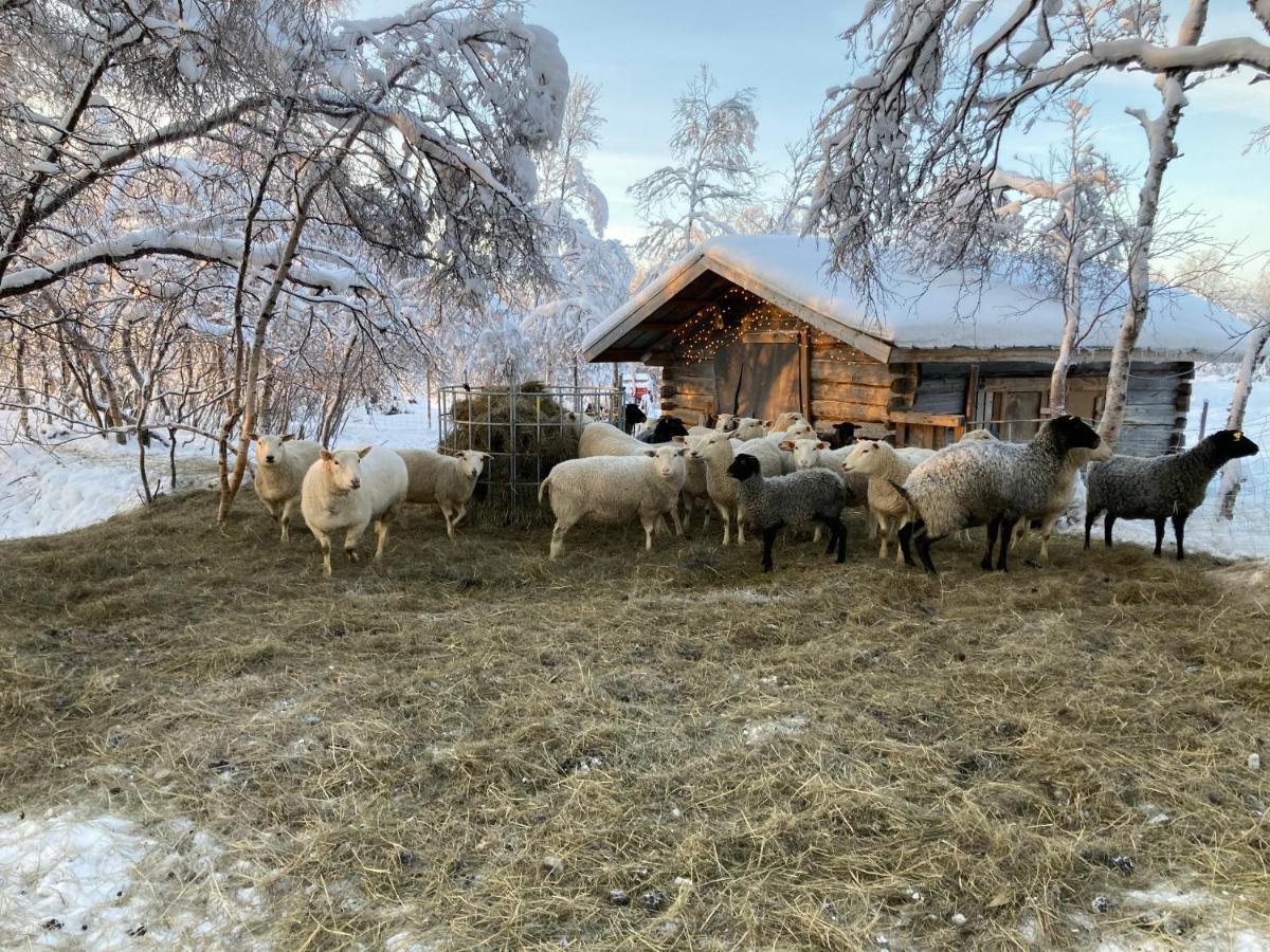 Kuttainen Lodge Karesuando Eksteriør billede